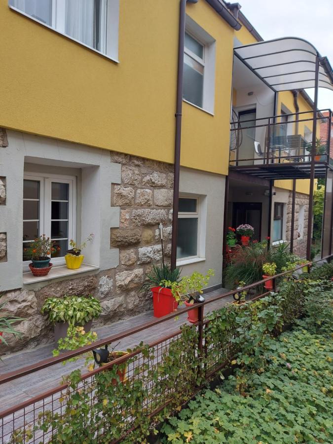 Guest House Pavlovic Soko Banja Ngoại thất bức ảnh